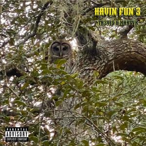 Havin' Fun 3 (Explicit)