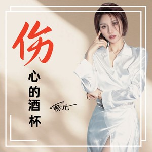 伤心的酒杯 (DJ彭锐版)