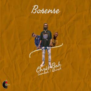 Bosense