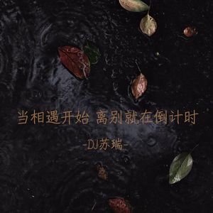 海很好看 但船要靠岸