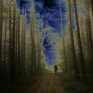 Back of the Woods (Explicit)