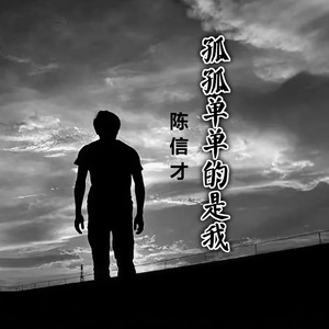 陈信才 - 孤孤单单的是我