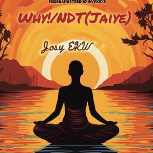 Why!/NDT (jaiye)