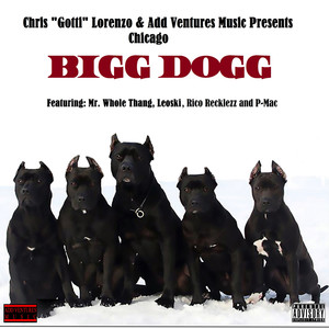 Bigg Dogg - Chicago (Explicit)