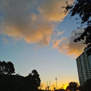 con quién sales? (Explicit)