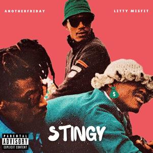 Stingy (feat. Litty Misfit) [Explicit]