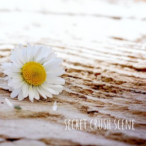 secret crush scene (Piano Music)