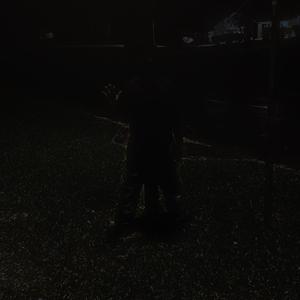 D0VER STR33T MARK3T 2 (feat. xiyuh) (Explicit)