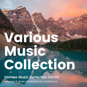 Various Music Collection Vol.113 -Selected & Music-Published by Audiostock-