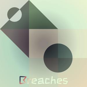 Breaches