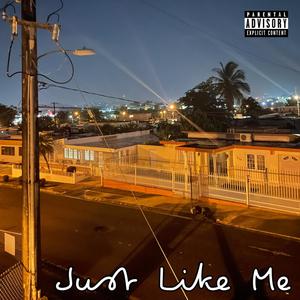 Just Like Me(feat. Zoe Arroyo) (Explicit)