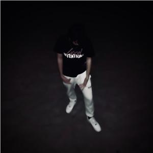 Panther (feat. Lil Timmy) (Explicit)