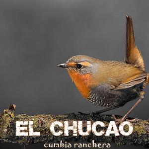 El Chucao (feat. Gallo Negro)