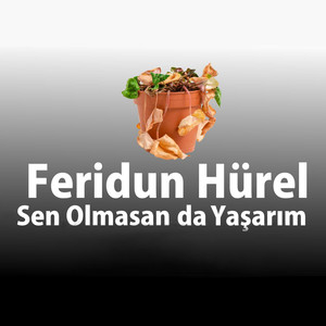 Sen Olmasan da Yaşarım