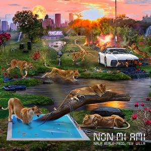 Non Mi Ami (feat. Tex Willa) [Explicit]