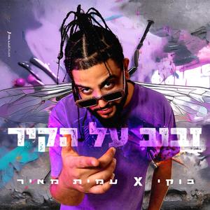 זבוב על הקיר (feat. Amit Meir) [Explicit]