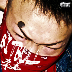 去钓鱼岛倒垃圾