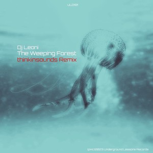 The Weeping Forest (thinkinsounds Remix)