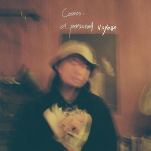 Cosmos (a personal voyage)