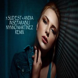 Inseparabili (feat. 3 Sud Est & Andia) (Remix)