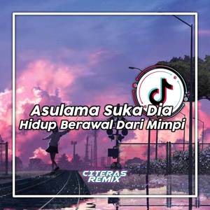 Dj Asu lama Suka Dia X Hidup Berawal Dari mimpi Viral Tiktok 2023