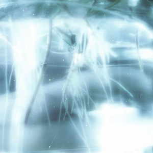 惬意时光（阳光透过枝叶)