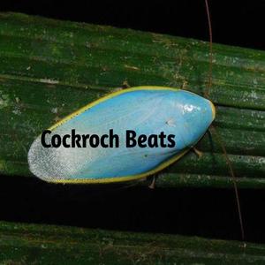 Cockroch Fly