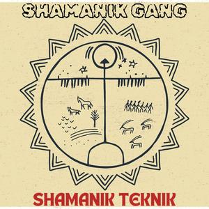 Rose des sables (feat. LYNX XxX, 781CODEVIE, Magik Flow, aka akash & RSbeatsmusic)