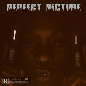 Perfect Picture (Explicit)