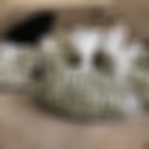 bags of weed (Explicit)