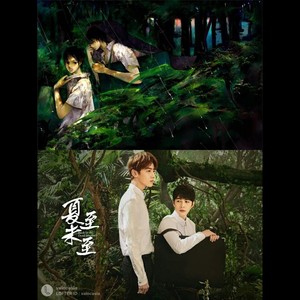 那个男孩（《夏至未至》插曲）