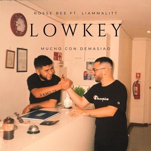 Lowkey (feat. Liammalitt)