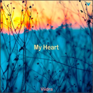 My Heart