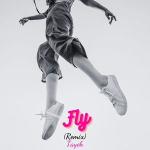 Fly (Remix)