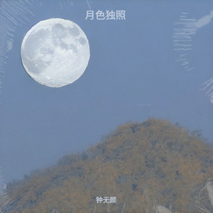 月色独照