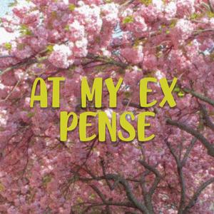 At My Expense (feat. Vimoksha)