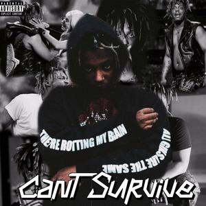 Can't Survive (Explicit)