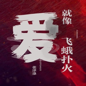 张津涤 - 爱就像飞蛾扑火 (DJheap九天版)