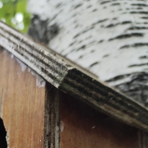 我讨厌已读不回的消息