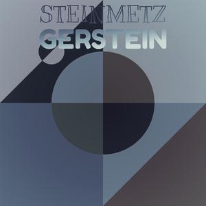 Steinmetz Gerstein