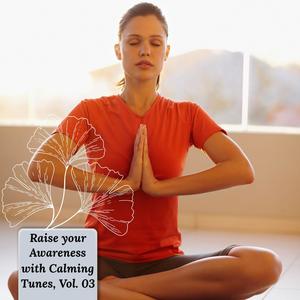 Raise Your Awareness With Calming Tunes, Vol. 03