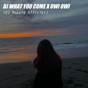 Dj What You Come X Owi Owi