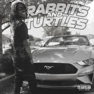 Rabbits and Turtles (Explicit)