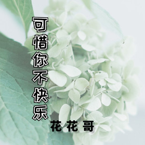 从前的我真正快乐过