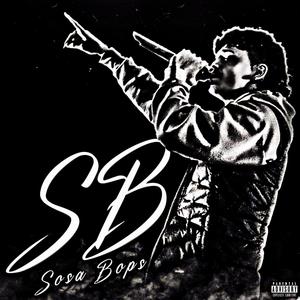 SB (Explicit)