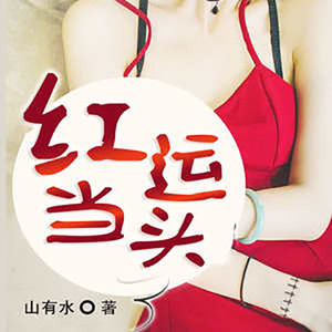 闹情绪 (DJ长音频)封面