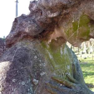 cracked fl studio (Explicit)