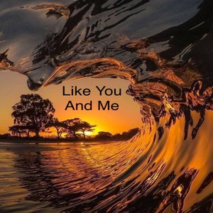 Like You And Me