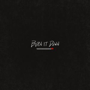Burn It Down (Explicit)