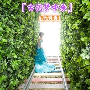 梦中月封面